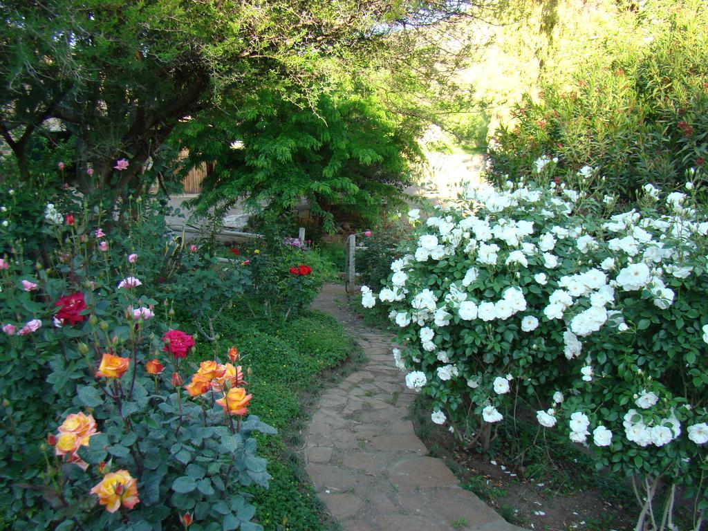 Waterval Farmstay Храфф-Рейнет Экстерьер фото
